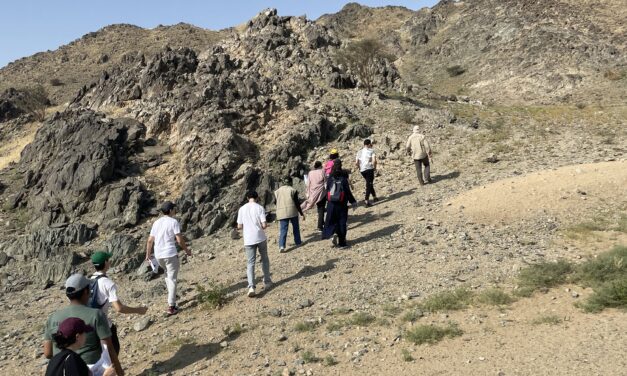 Des élèves de 1ère reconstituent in situ l’histoire géologique mouvementée de la plaque arabique